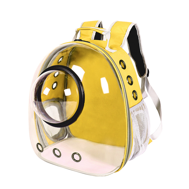 C005