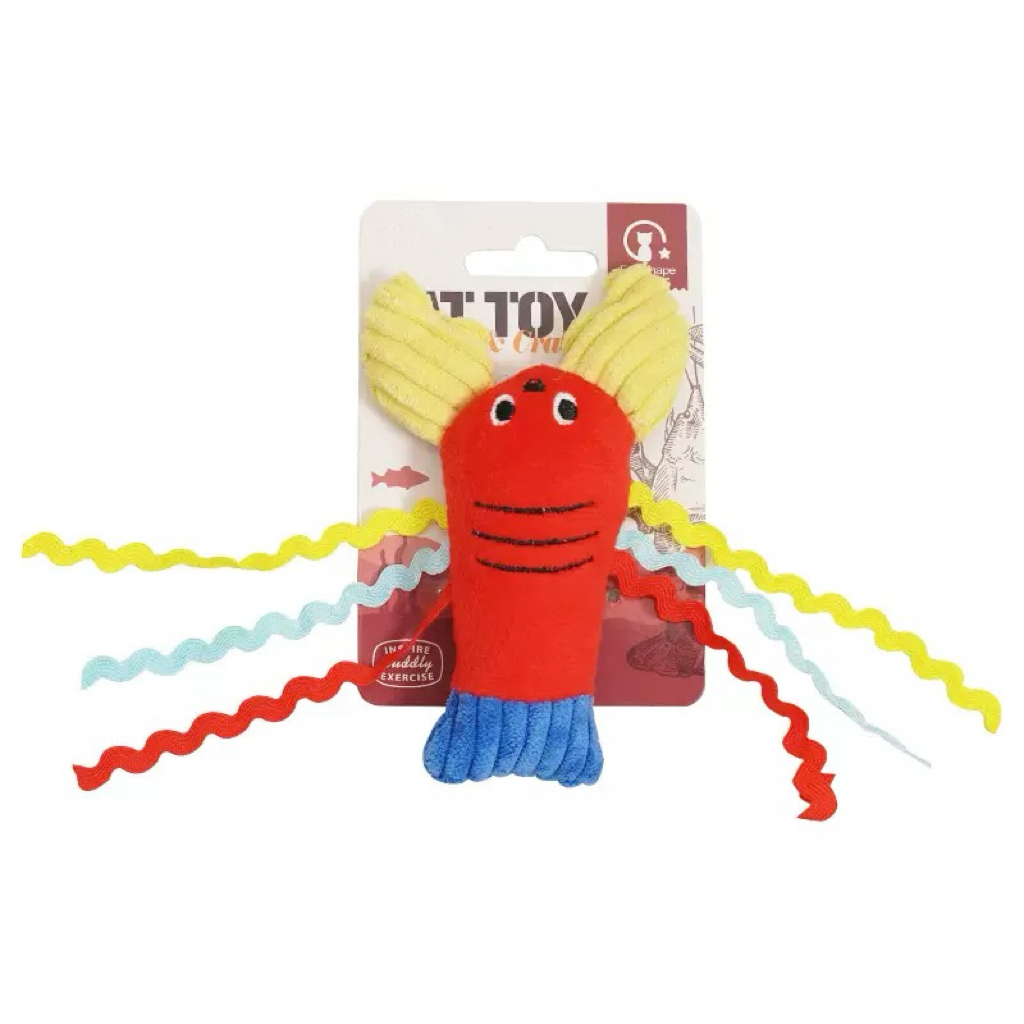 CT239